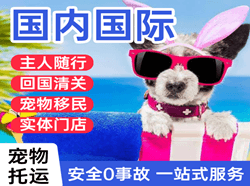 安顺黄果树机场邮寄国际宠物托运 【国
